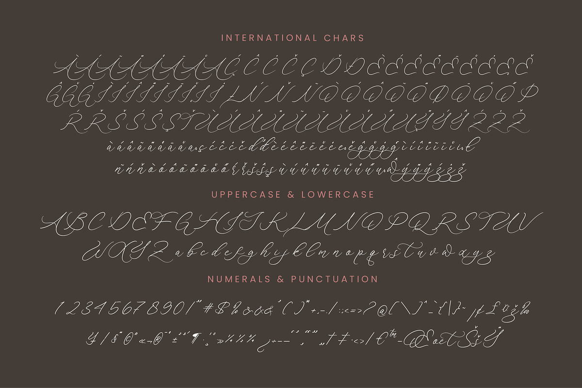 Anchesty Montaine Stylish Font, a Script Font by stylishtype.co (Photo 18 of 20)