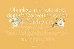 Quinek Elegant Serif