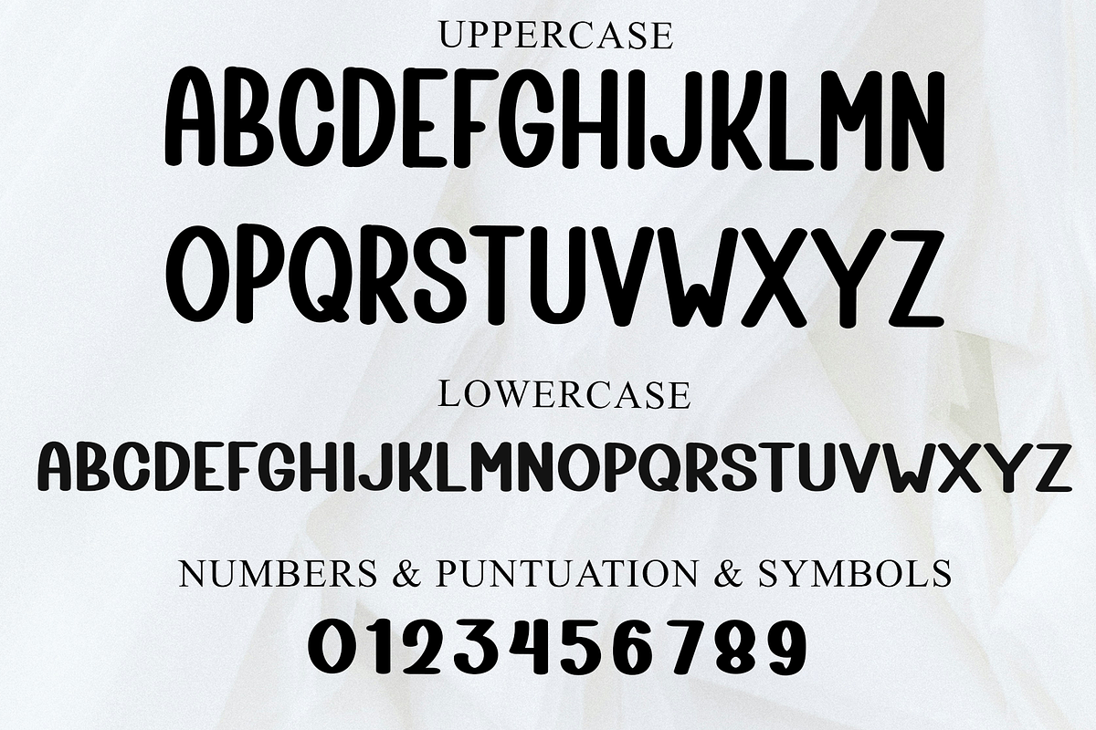 Book Digital, a Script Font by FreshTypeINK (Photo 4 of 8)