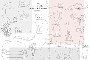 Elegant Cats Collection