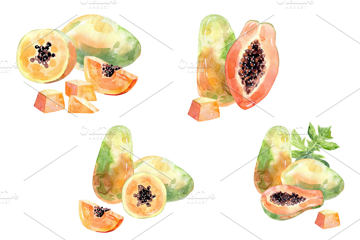 Watercolor tropical fruits., an Illustration by TaPilipa (Photo 29 of 39)