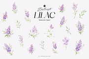 Delicate Lilac Watercolor Clipart, a Decorative Illustration by Primrose Blume (Thumbnail 2 of 4)