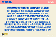 PM Willshire Mid-Century Style Font, a Sans Serif Font by Paper Moon Graphic Supply (Thumbnail 4 of 9)