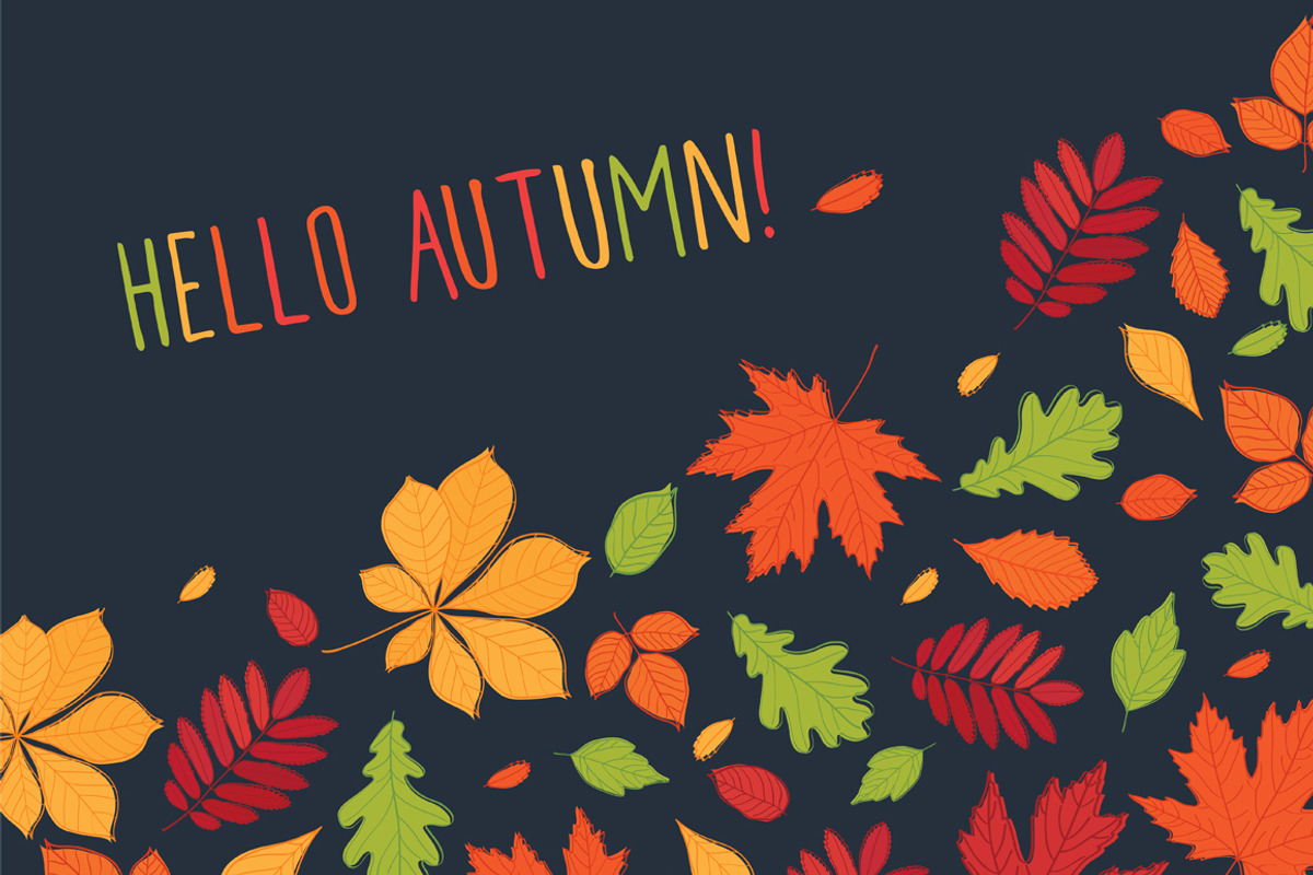 Hand drawn autumn leaves., an Education Illustration by Tkoko vectors & patterns (Photo 2 of 12)