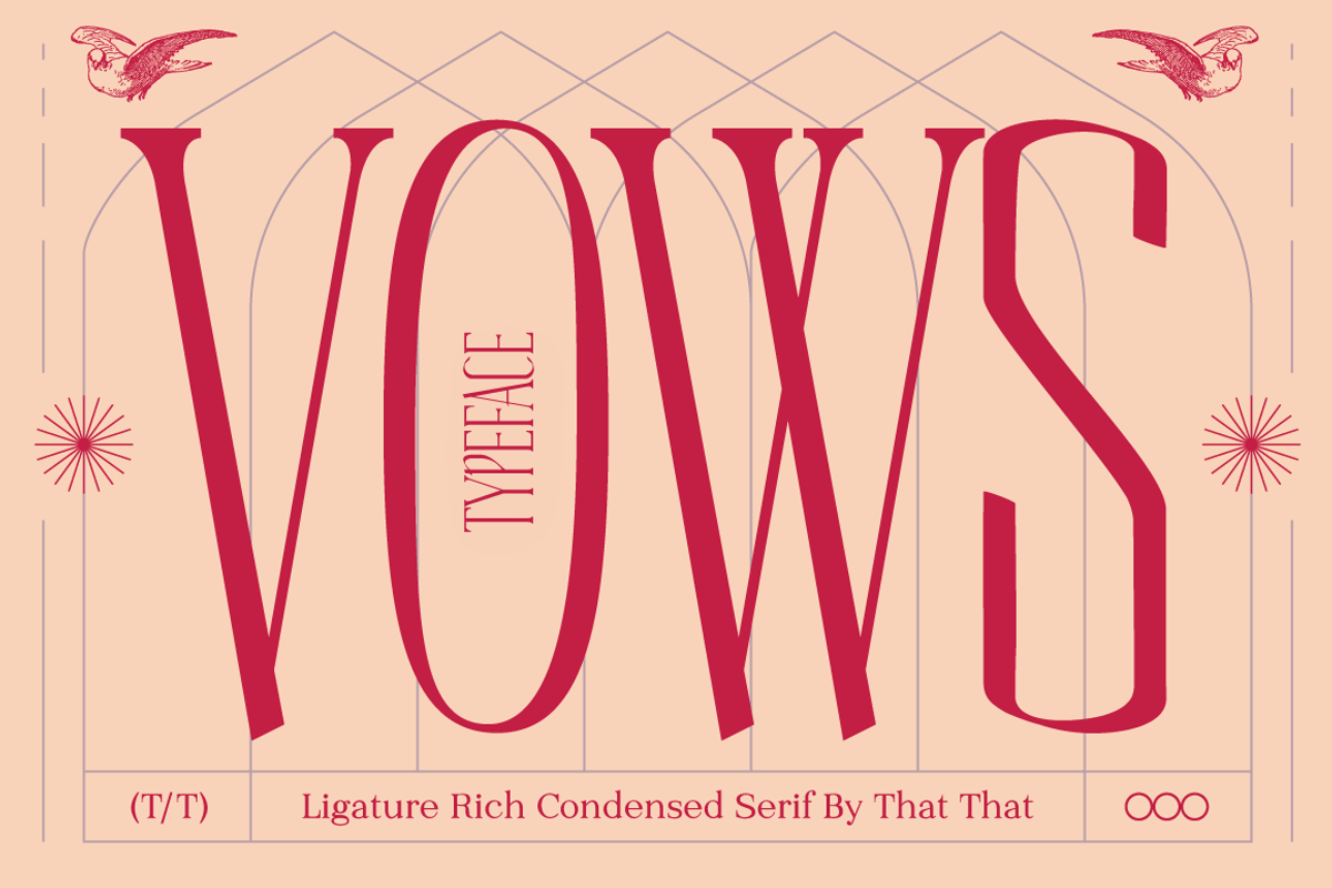 Vows Elegant Condensed Serif, a Serif Font by That That Creative (Photo 1 of 10)