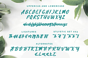 Adhellia - Bold Script Font, a Script Font by zeenesia (Thumbnail 9 of 11)