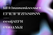 Reca Luno | Display Serif, a Serif Font by gracetype_studio (Thumbnail 12 of 12)