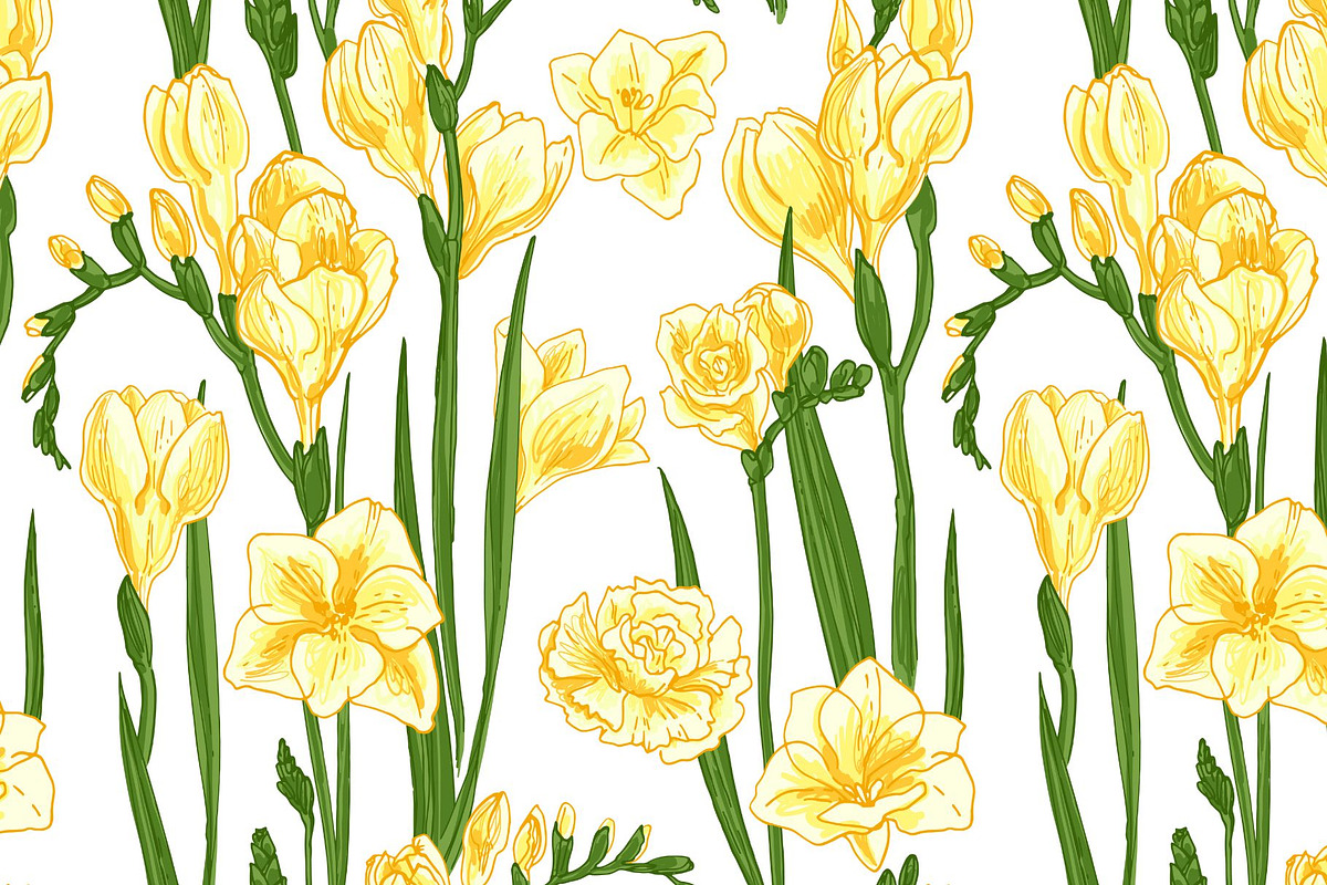 Freesia flowers color. Sketch vector, a Decorative Illustration by irina.vaneeva (Photo 4 of 4)
