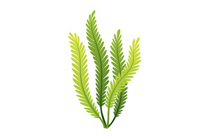 Seaweed and corals isolated on white, an Animal Illustration by the8monkey