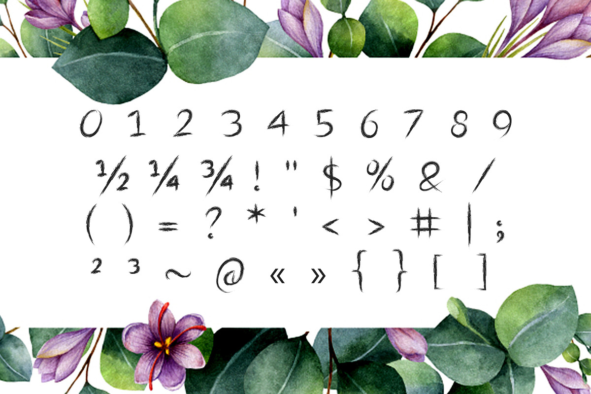 Shrub Brushy Font preview 4