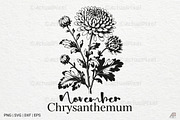 Birth Month Flowers SVG PNG Bundle, an Illustration by Actual Pixel (Thumbnail 11 of 24)