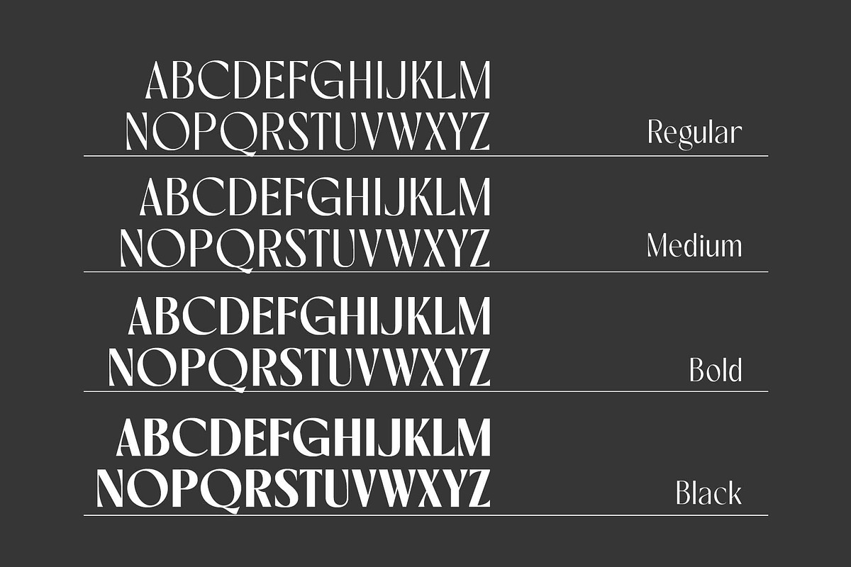 Rovaney - Fancy Font Family, a Serif Font by Arterfak Project (Photo 6 of 15)