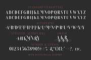 Brioche - (ExtraLight & SemiBold), a Font by Sarid Ezra (Thumbnail 6 of 6)