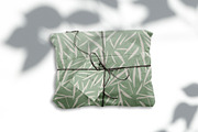 Tropical Reeds, a Pattern Graphic by Nadezda (Thumbnail 4 of 4)