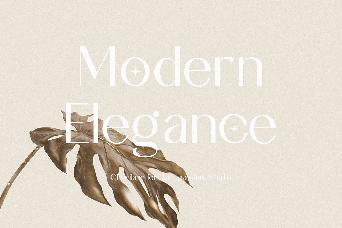 Chovilane Signature Austine Duo Font, a Sans Serif Font by Essentials Studio (Photo 8 of 10)