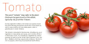 Cinta, a Sans Serif Font by Tipo Pépel (Thumbnail 5 of 7)
