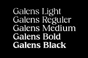 Galens | Serif font family, a Font by InkwellTypeCo (Thumbnail 5 of 11)