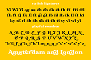 Bikker Black, Funky serifs, a Serif Font by TypeFaith Fonts (Thumbnail 5 of 11)
