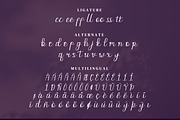 Paletta Script Fonts, a Script Font by mahstudios (Thumbnail 13 of 15)