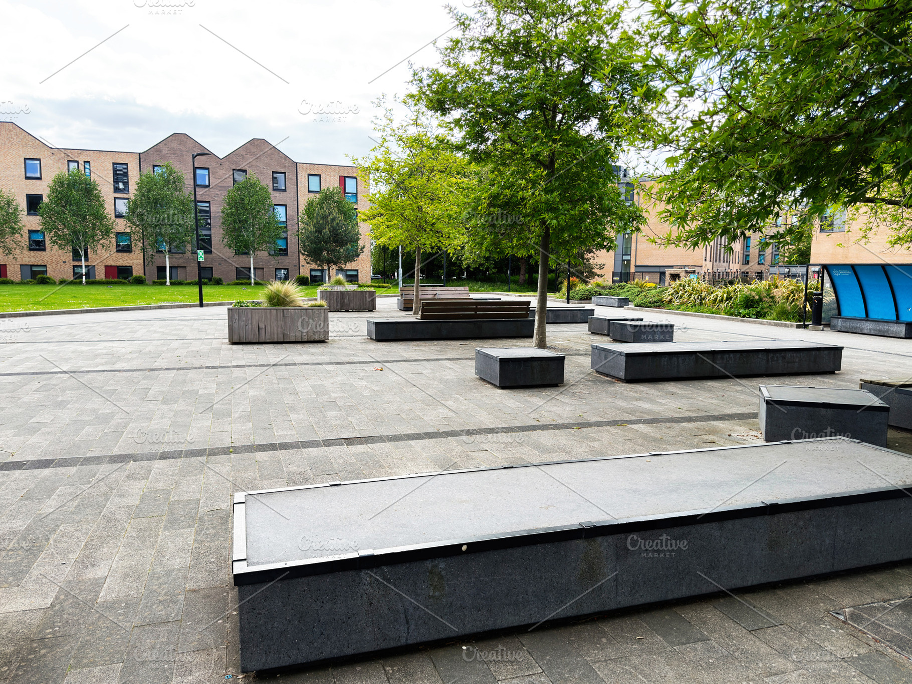 Empty urban plaza with concrete benches and trees on a universit, a Photo by AS photostudio