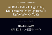 Bellarose – Modern Serif Font, a Serif Font by overlaytemplates (Thumbnail 4 of 5)