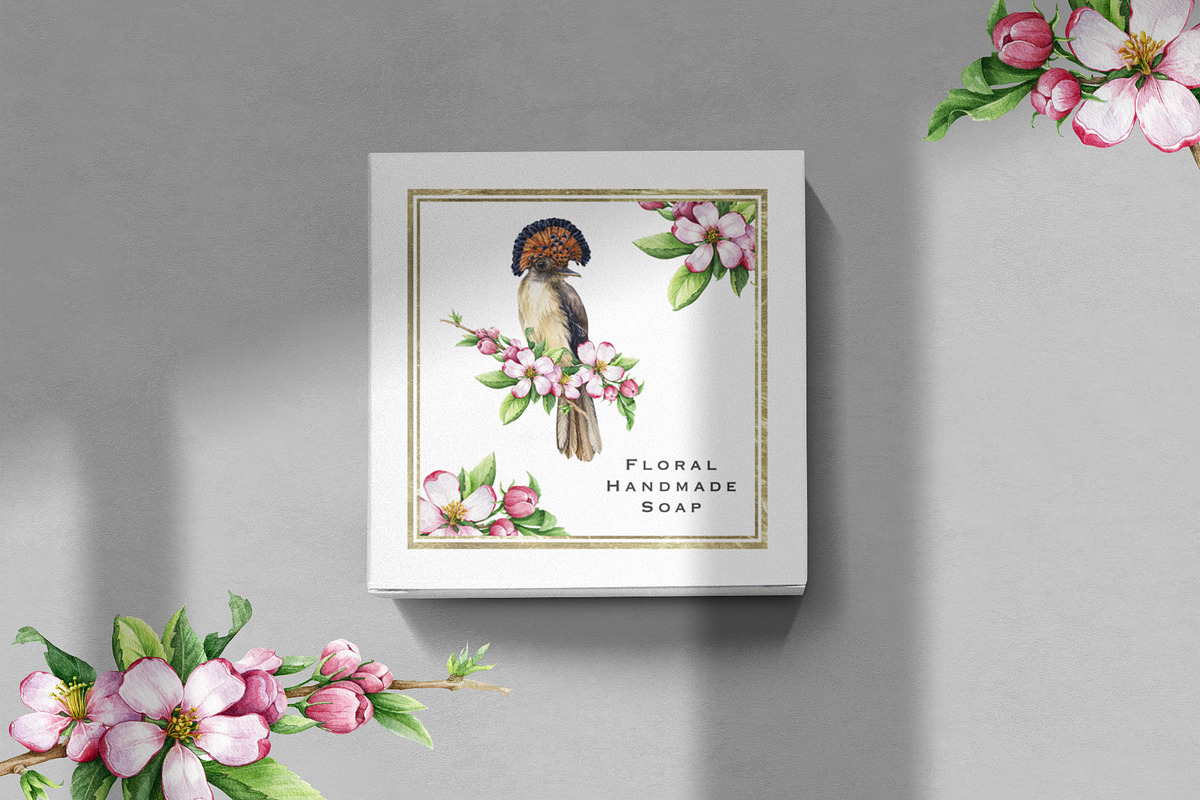 Forest Birds Watercolor Set, an Animal Illustration by AnitaPol (Photo 12 of 26)