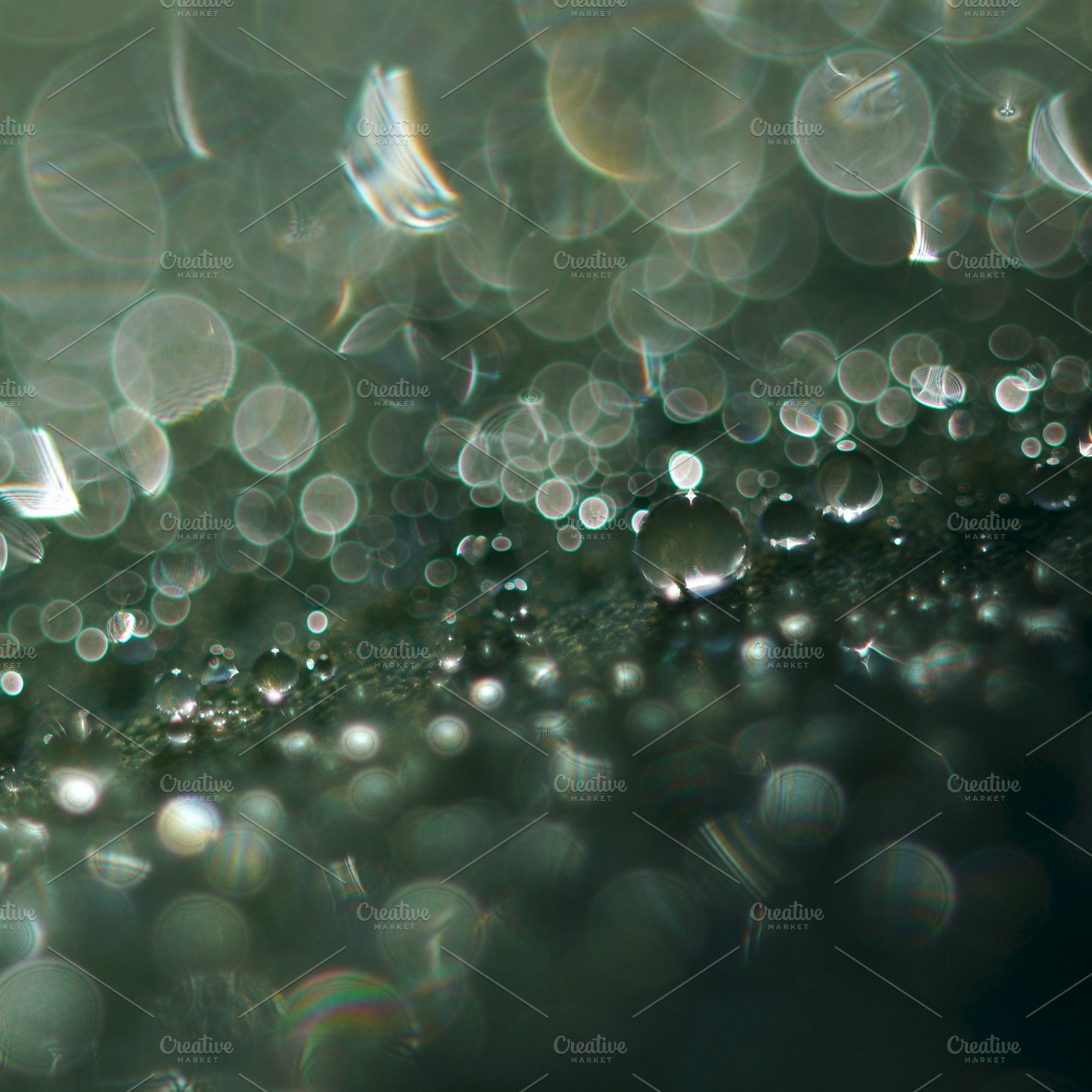 Water bokeh featuring macro, dew, and water, a Nature Photo by ateliervonau