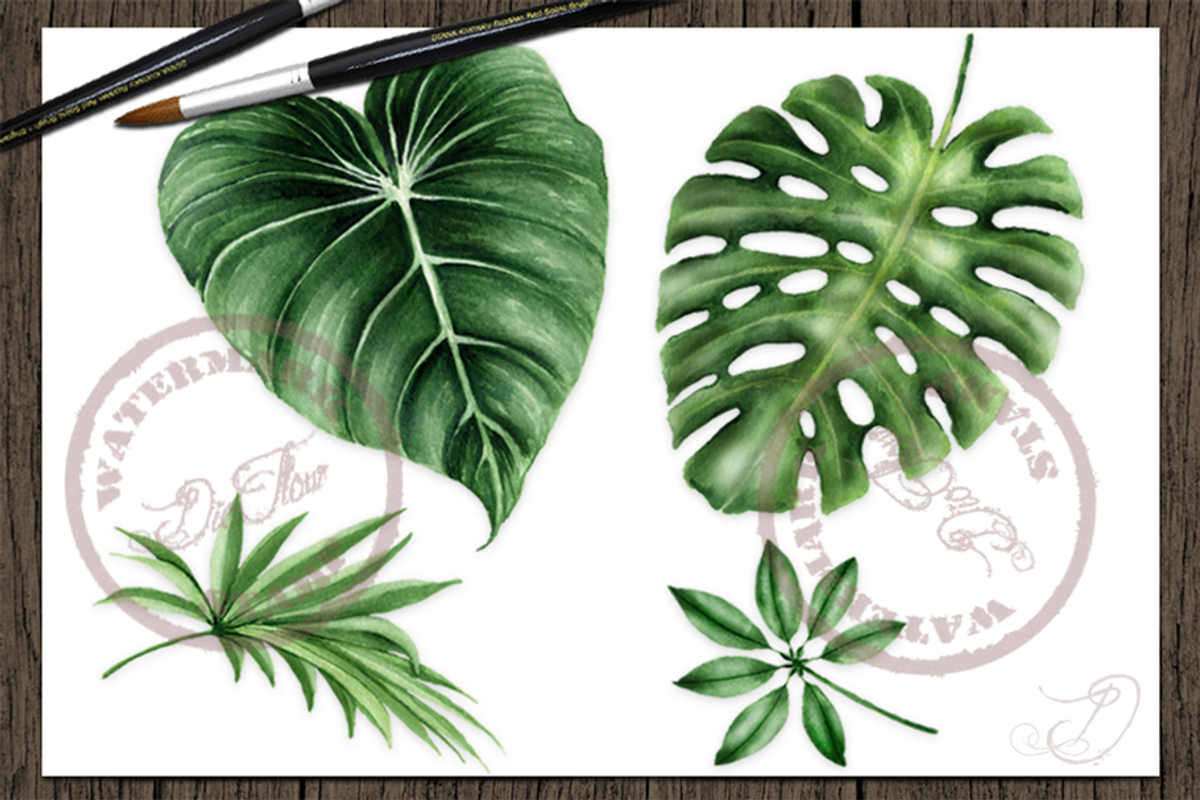 Tropical Big Pack Watercolor Clip, a Decorative Illustration by DioFlow (Photo 25 of 26)