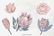 Wedding Protea Flowers Cotton Roses, an Illustration by PawGraphic (Thumbnail 2 of 10)