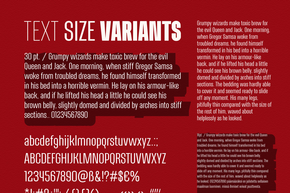 Alterhard Condensed Strict Font preview 4
