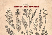 Insects and Flowers, an Animal Illustration by Ink Stories (Thumbnail 6 of 15)