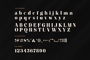 Bingah Elegant Serif Font, a Serif Font by Elegant Font (Thumbnail 7 of 8)