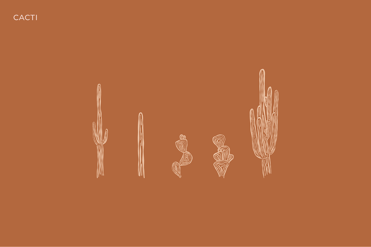 Desert Doodles | Illustrations, an Illustration by Brooke Taylor Creative Co (Photo 3 of 6)