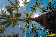 Tropical Presets for Lightroom, a Preset Add-On by Hubzway (Thumbnail 5 of 5)
