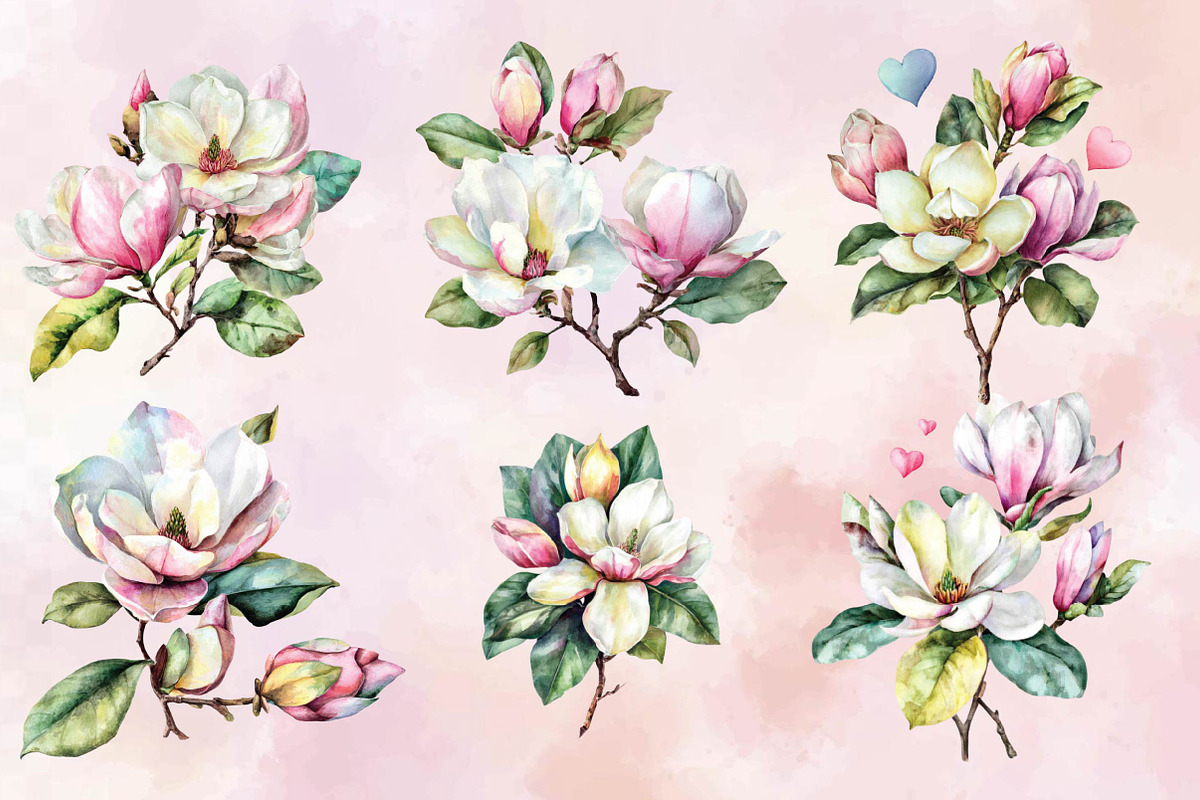 Watercolor Magnolia Flower Clipart, a Healthcare Illustration by SVGArt (Photo 3 of 4)