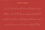 Carneys Gallery Font Duo, a Sans Serif Font by Letteralle Studios (Thumbnail 12 of 16)
