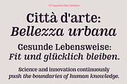DT Augustina Slab 2 Subfamily, a Slab Serif Font by Deveze Type Foundry (Thumbnail 9 of 30)