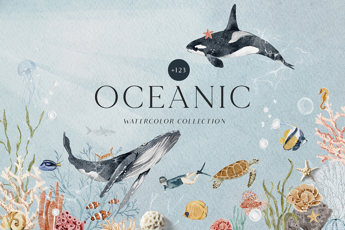OCEAN Undersea Coral reef animals, an Animal Illustration by Grace Noboa Illustrations (Photo 1 of 15)