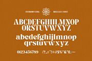 Melyan - Classy & Stylish Serif, a Serif Font by TypeLogue (Thumbnail 5 of 5)