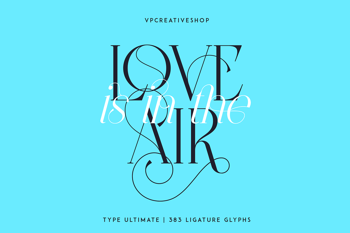 Type Ultimate - serif logo font, a Serif Font by VP Fonts (Photo 19 of 24)