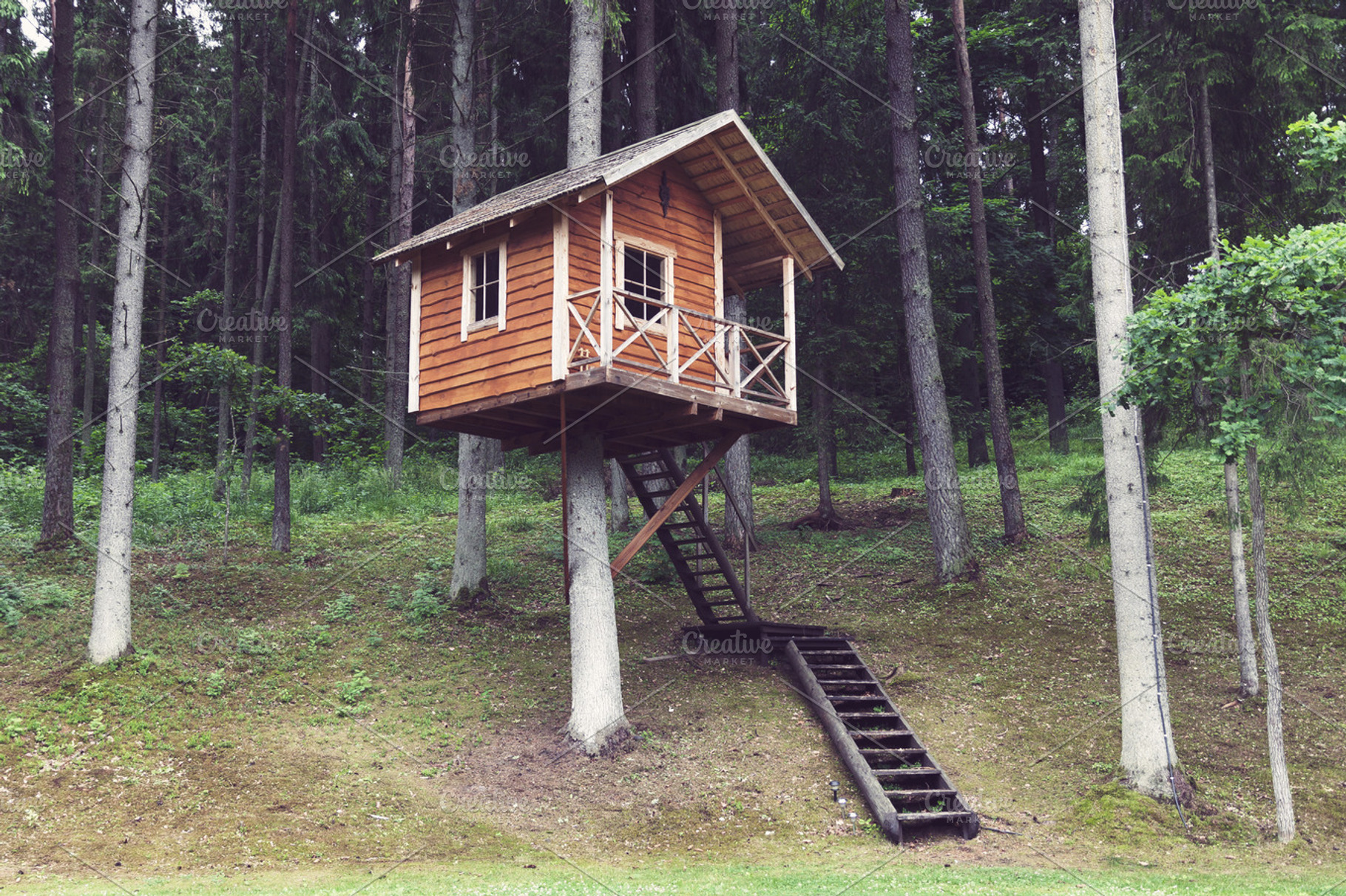 Tree house, an Architecture Photo by BOOCYS