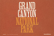 FIREWOOD - A Wood Type Style Font, a Serif Font by Komet & Flicker (Thumbnail 2 of 14)