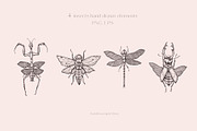 Wildflower and Insect collection, an Illustration by Hand drawn Boutique (Thumbnail 4 of 7)