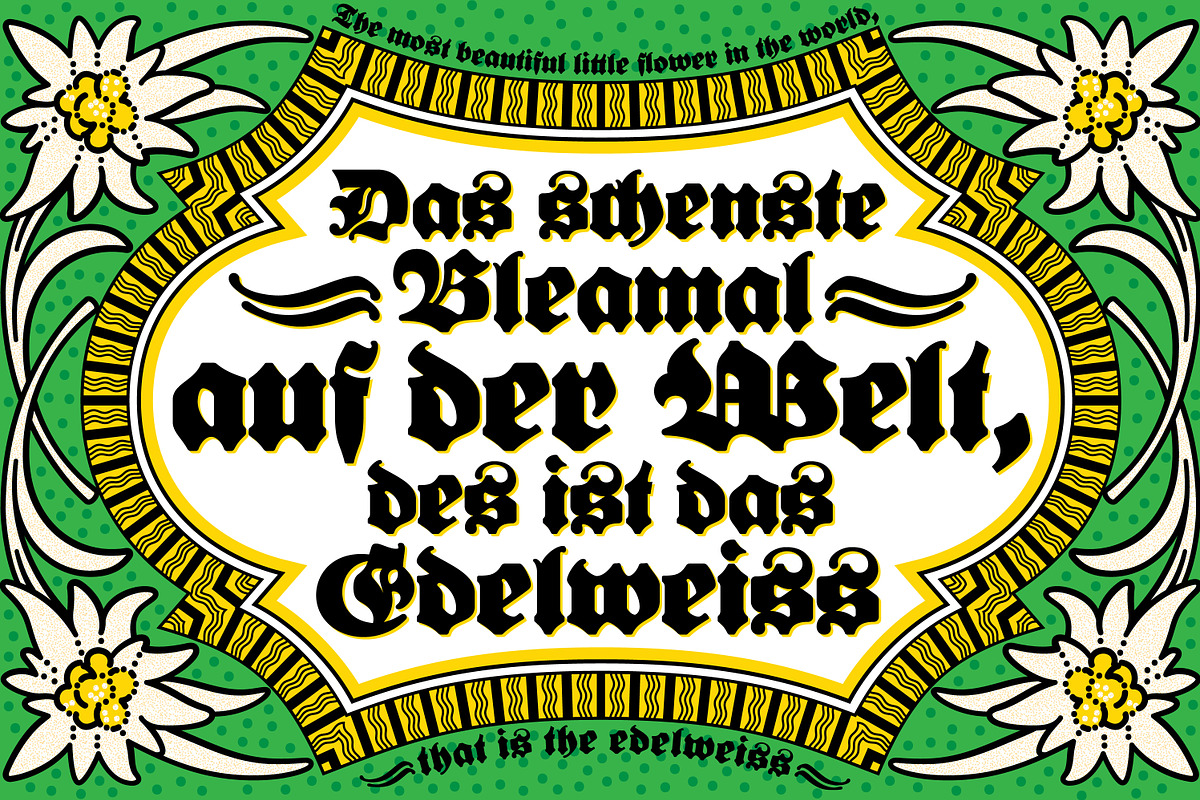Bernard Fraktur, a Blackletter Font by Stefan Chirila (Photo 11 of 18)
