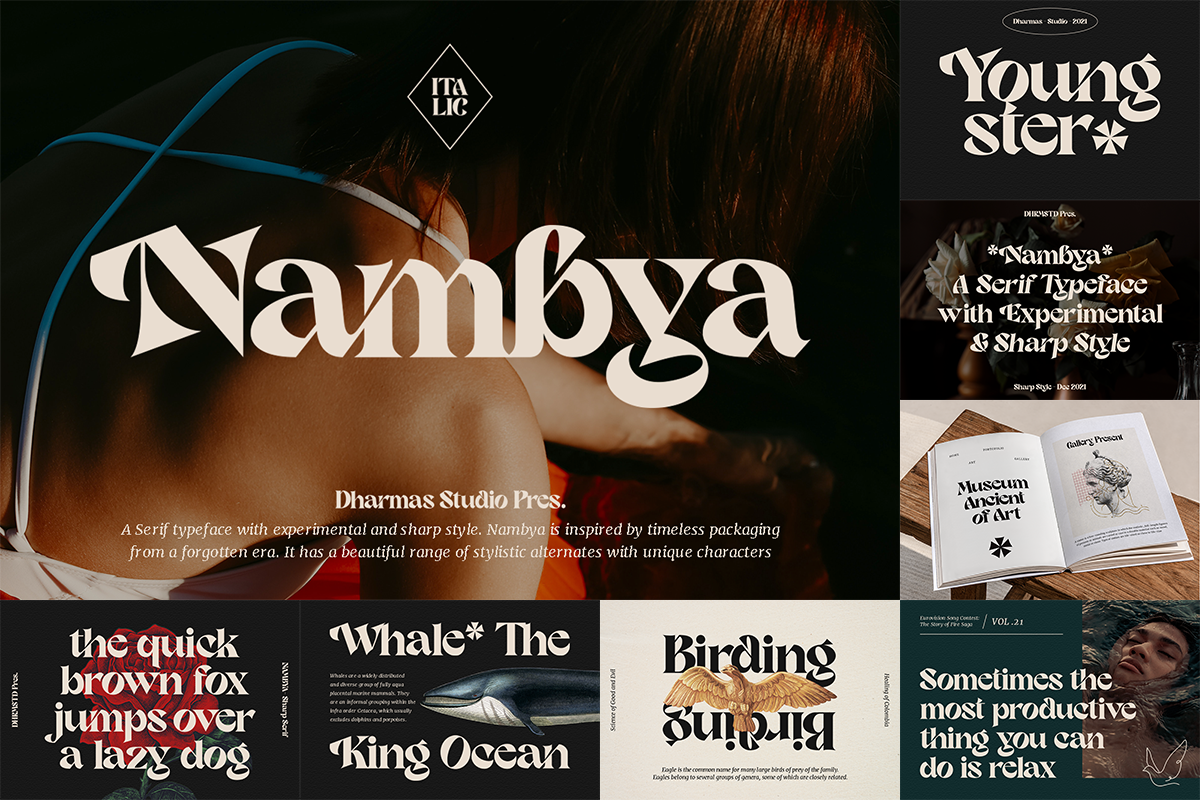 The Retro Font Bundle - 90% OFF, a Serif Font by Dharmas Foundry (Photo 9 of 14)