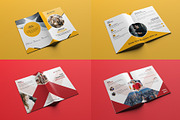 20 Bi-fold Brochure Template Bundle, a Brochure Template by Pixelpick (Thumbnail 11 of 11)