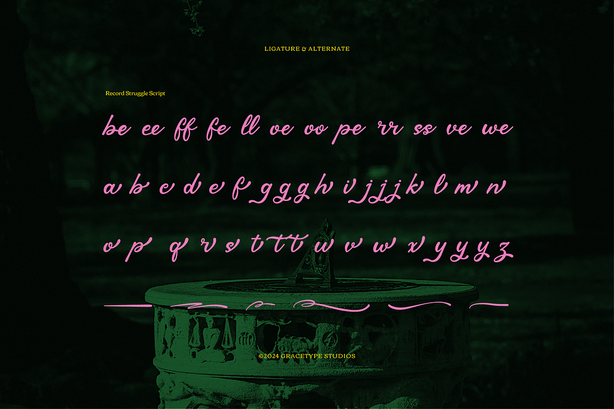 Record Struggle | Hand Drawn Script, a Font by gracetype_studio (Photo 11 of 12)