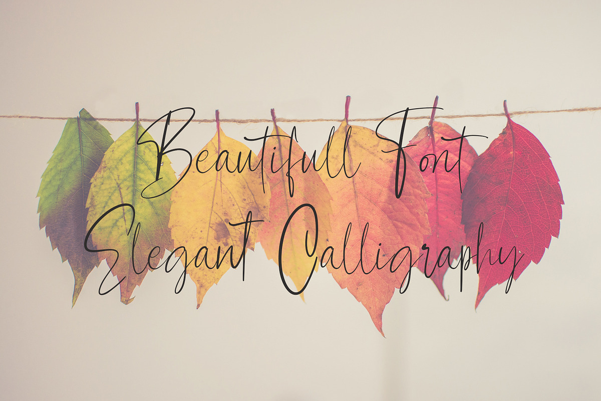 Contributor - Calligraphy Font preview 4