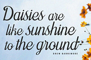 Asefine, a Script Font by Lucky Type (Thumbnail 6 of 15)