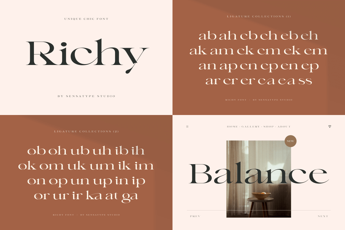 Unique & Classy Modern Font Bundle, a Serif Font by Sensatype (Photo 7 of 11)